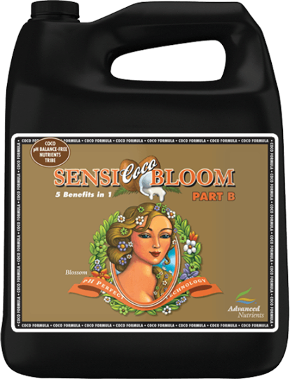 Sensi Coco Bloom Part B Ph Perfect