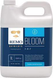 Bloom