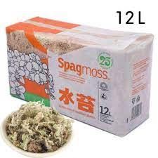 Sphagnum Moss