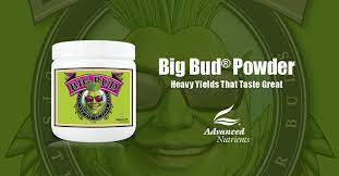 Big Bud Powder